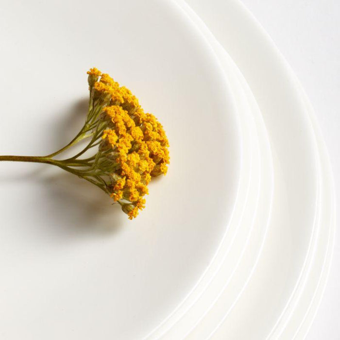 Bennett China Salad Plate