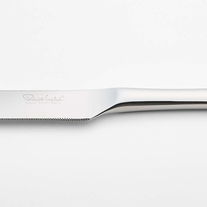 Caesna Mirror Cake Knife