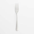 Caesna Mirror Salad Fork