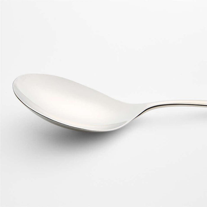 Caesna Mirror Wide Serving Spoon