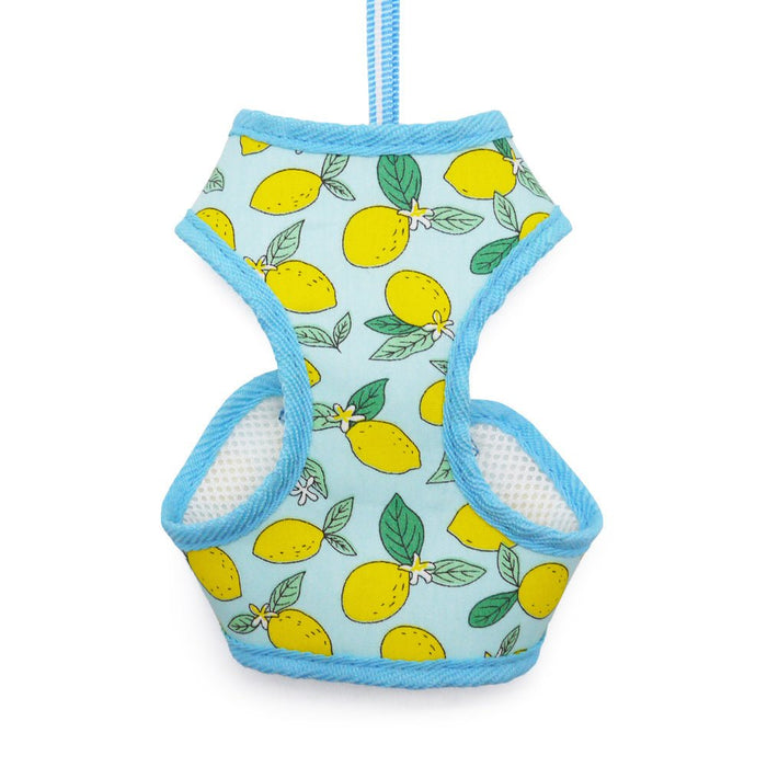 EasyGo Lemon Harness in Blue - Posh Puppy Boutique