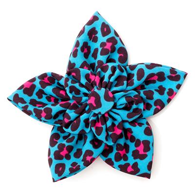 Leopard Teal/Pink Flower Slider - Posh Puppy Boutique